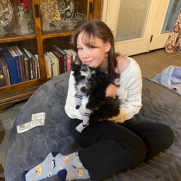 Meet your Posher, Miranda - Picture 2 of 3